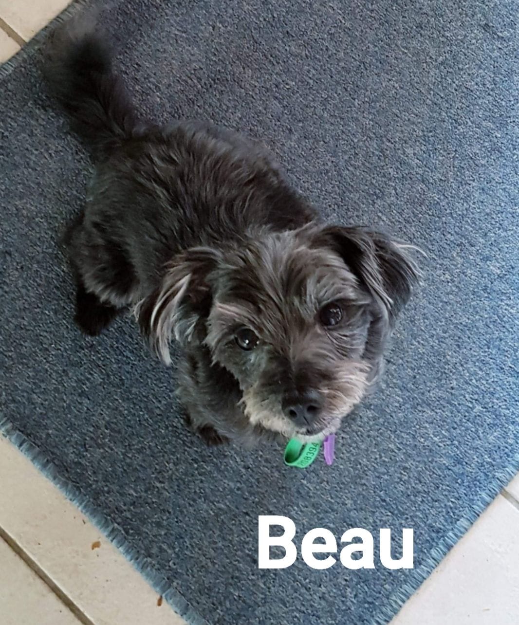 Beau after image