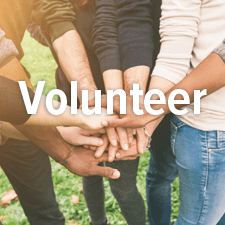 Volunteer with Angel Paws