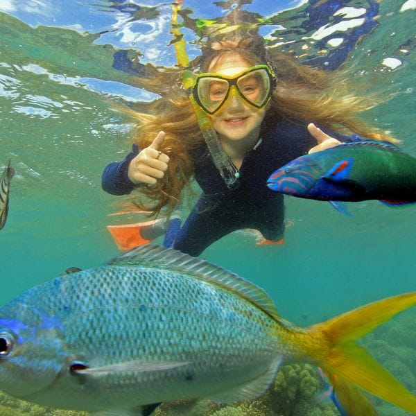 Snorkelling amongst colourful fish