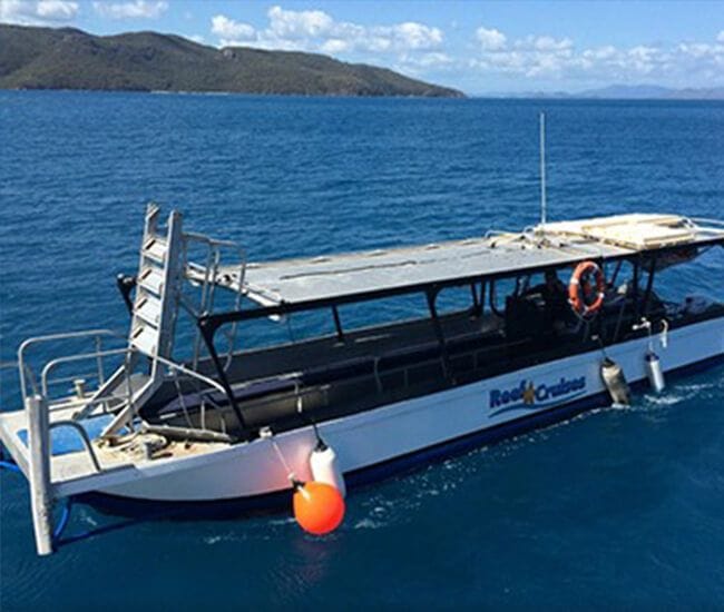 70 MINUTE GLASS BOTTOM BOAT TOUR!