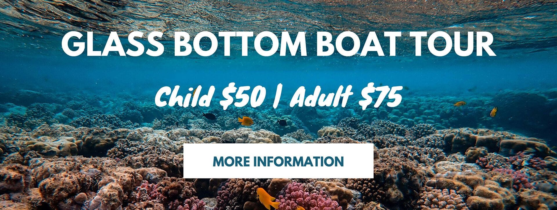 Glass Bottom Boat Tour