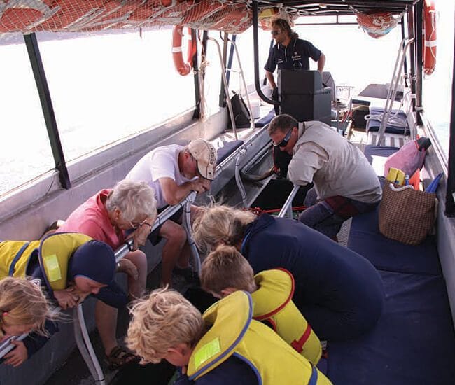 IN THE SAFETY OF GLASS BOTTOM BOAT WITHOUT GETTING WET!