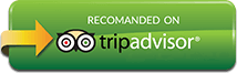 Recommend Reefstar Cruises on Tripadvisor