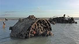 Guided walking tour to flying boat wrecks in memorial of WWII air raid (6am tomorrow)