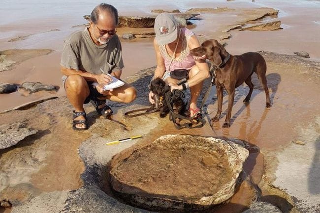 Dinosaur footprints could stymie Broome marina site chosen after decades of discussion