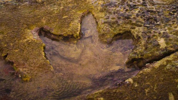 Kimberley fossil tracks are Australia's 'Jurassic Park'