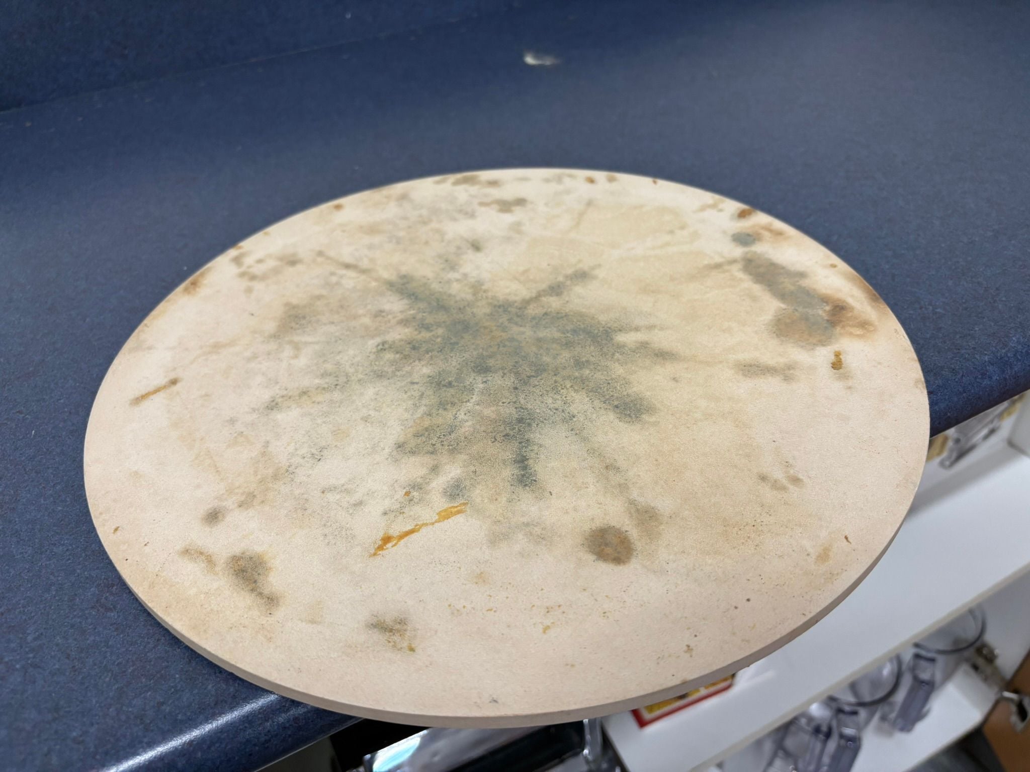 How Mould Spreads: The Science of Spores and Growth Conditions