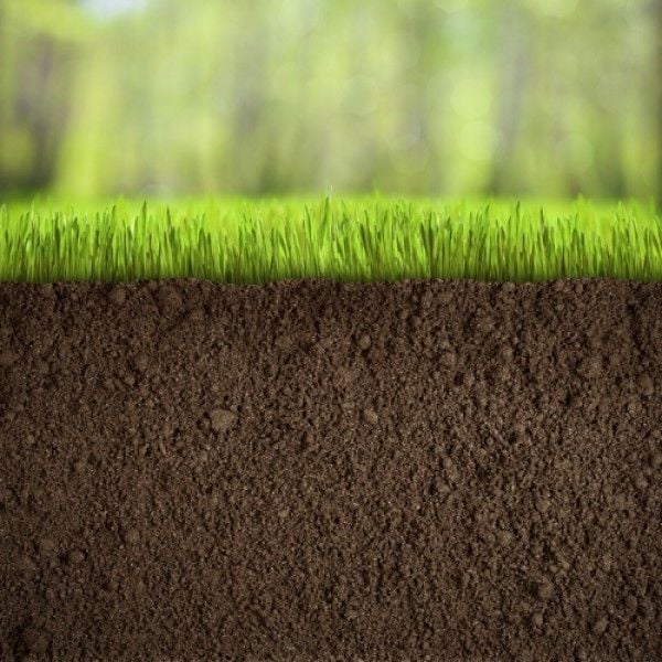 Top Dressing Soil Top Dressing Soil