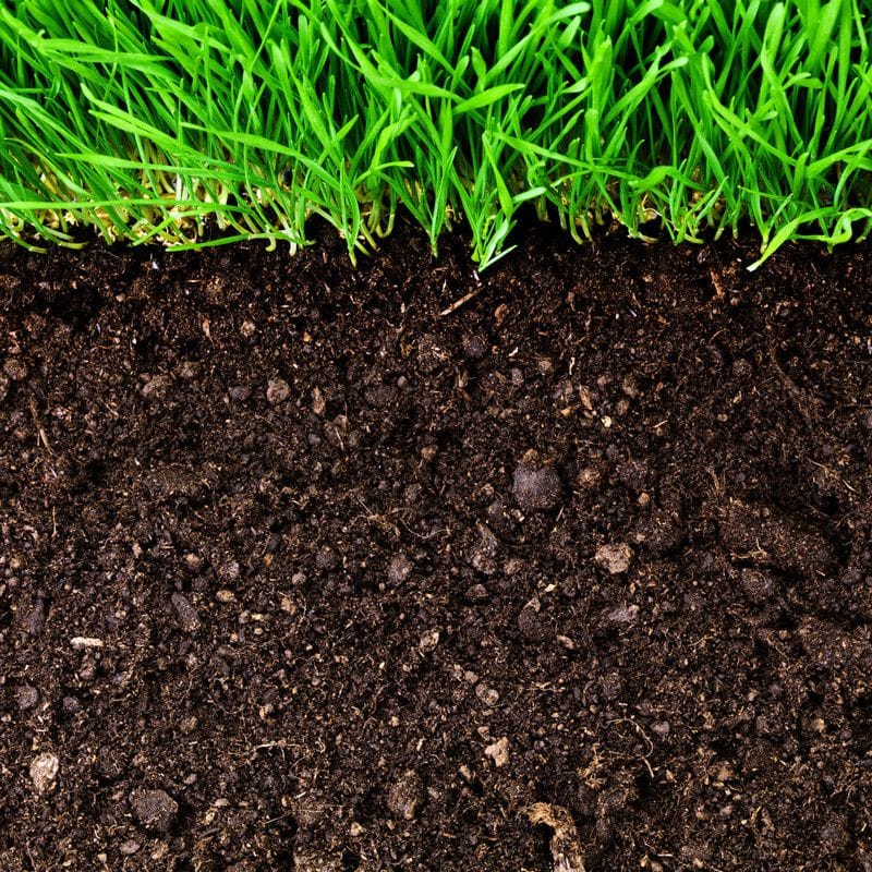 building-healthy-soil-how-to-nurture-soil-for-sustainable-gardens