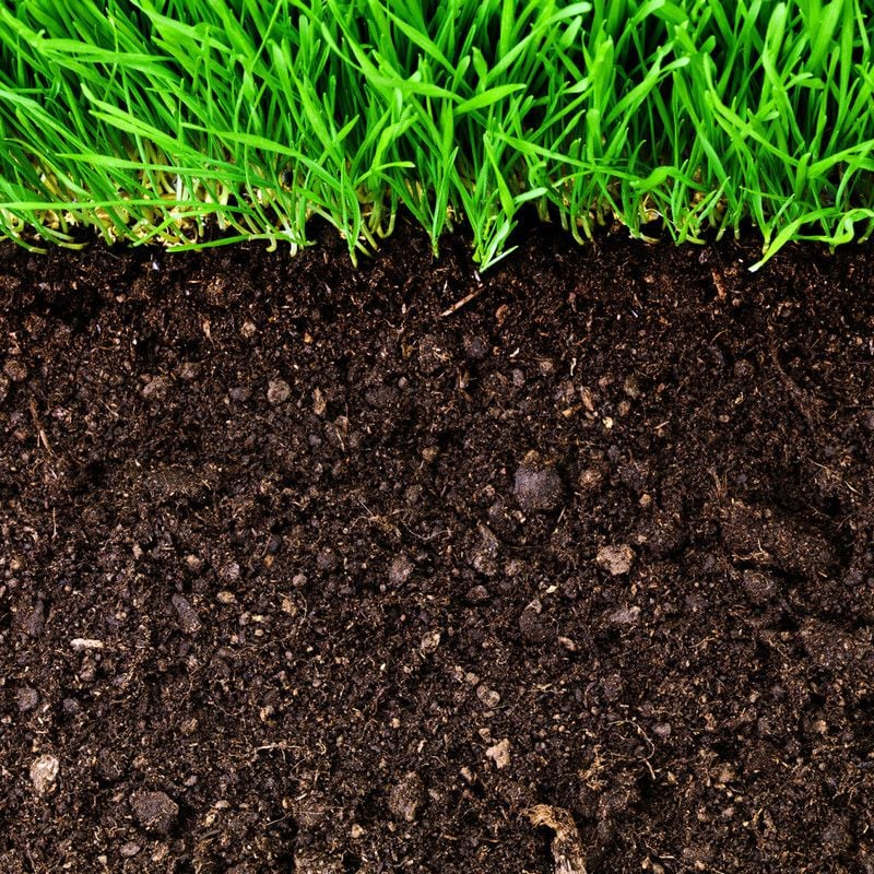 Under Turf Soil Under Turf Soil