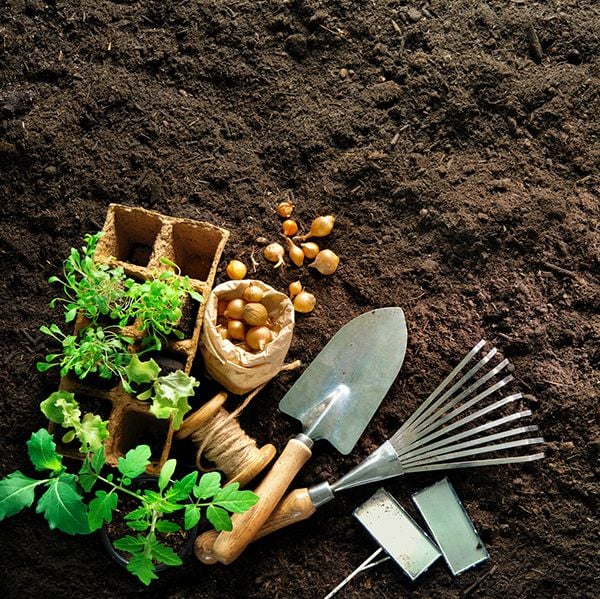 Premium Organic Soil Premium Organic Soil
