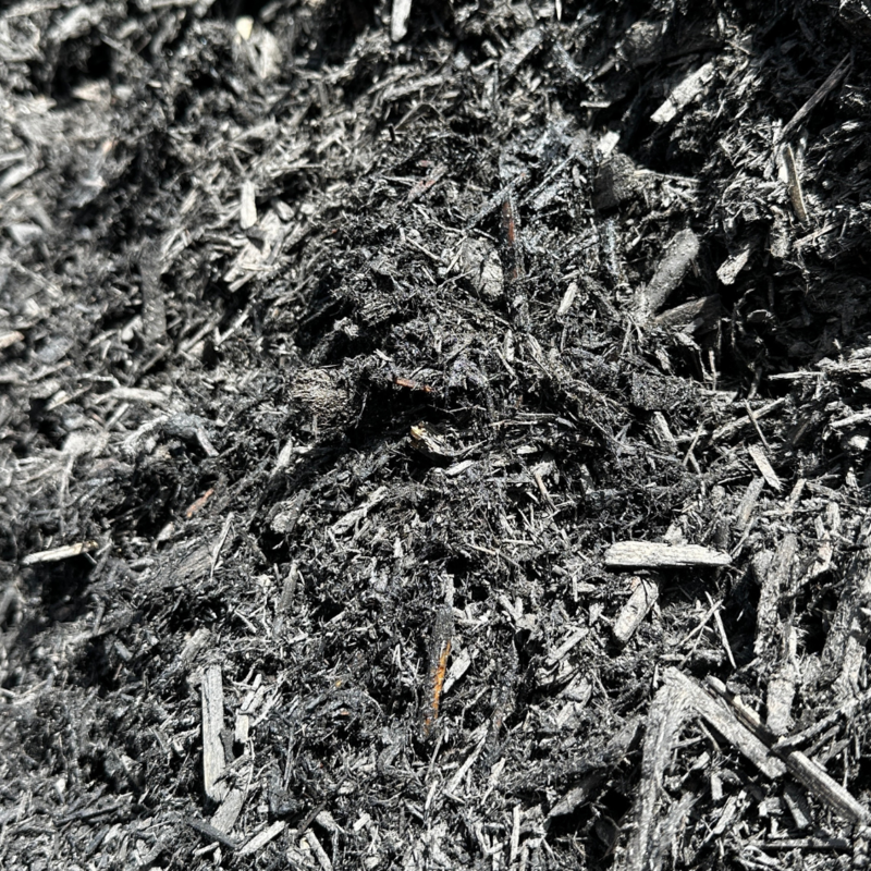 Black Cypress Mulch