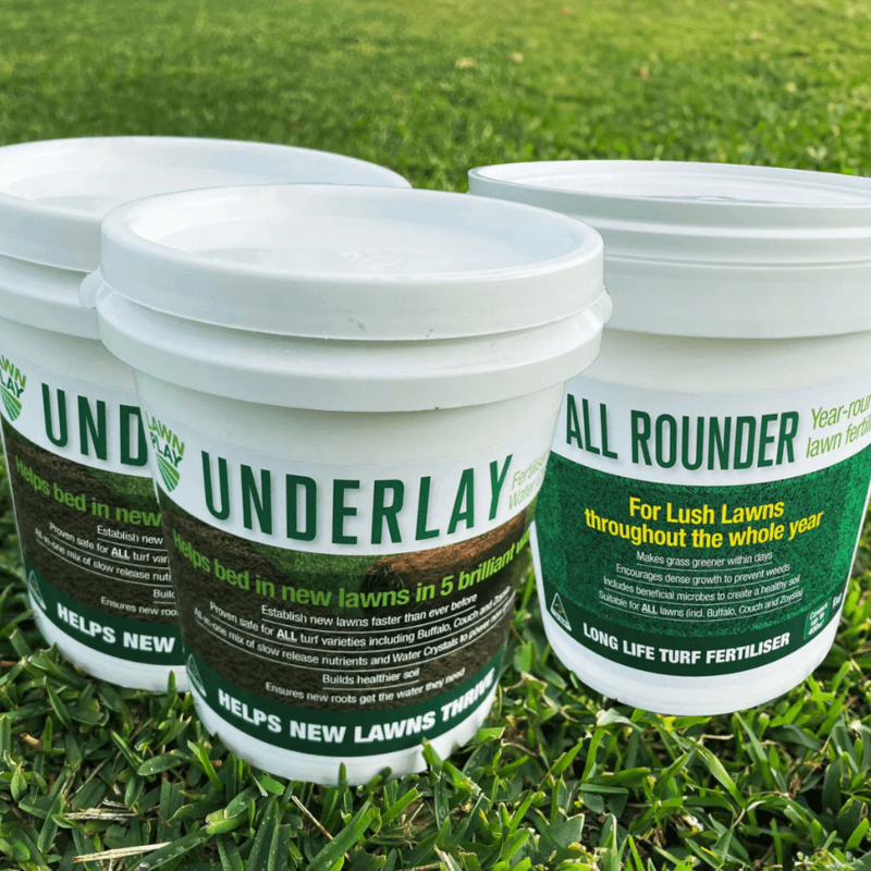 Essential Lawn Starter Pack - Regular Bundle