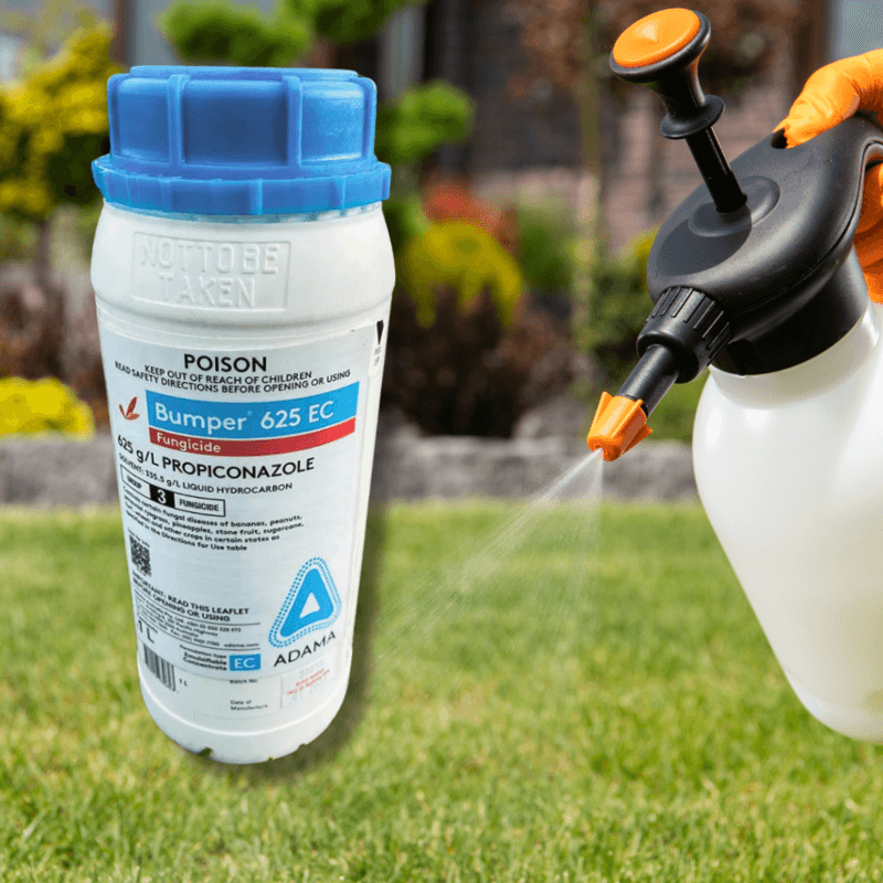 Bumper 625 Fungicide 1L (Covers 650sqm)