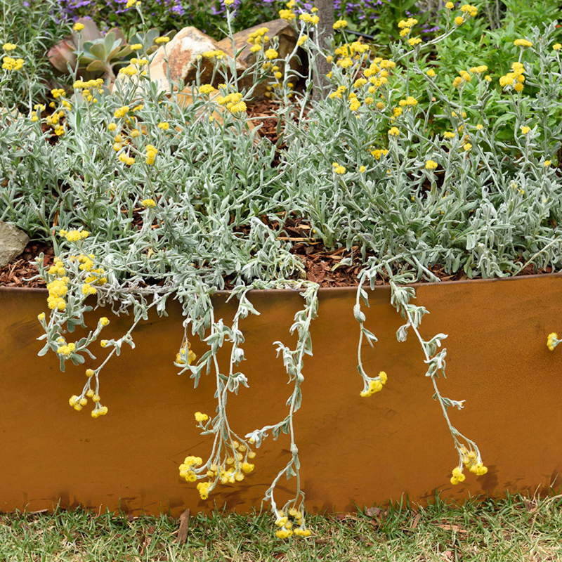 390mm Redcor Steel Garden Edging