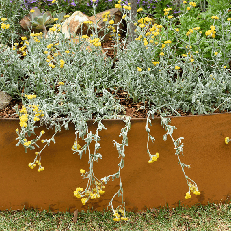390mm Redcor Steel Garden Edging 390mm Redcor Steel Garden Edging