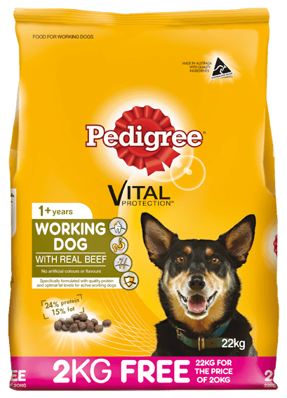 Pedigree meaty bites best sale
