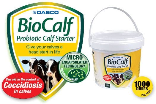 BIO CALF Probiotic Powder 1KG