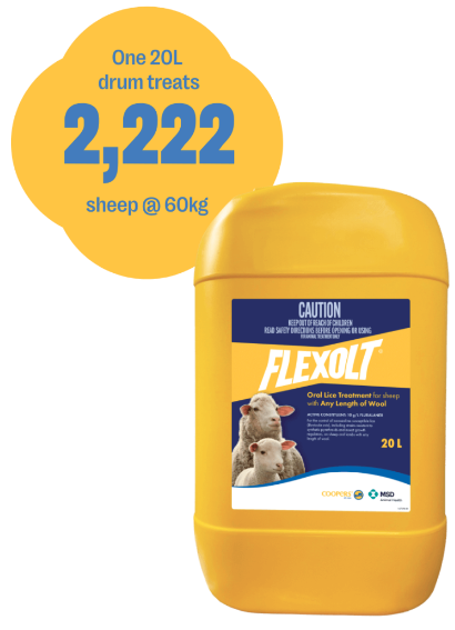 Flexolt - oral lice drench for sheep