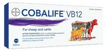 Cobalife Vitamin B12 500ml