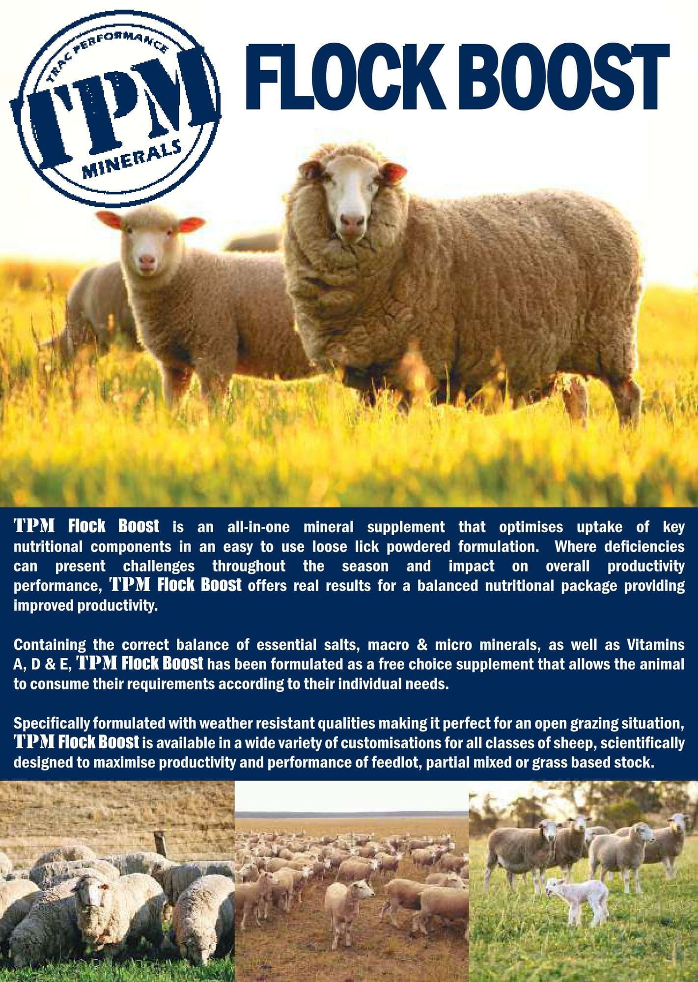 TPM Flock Boost 25kg Loose Lick Minerals