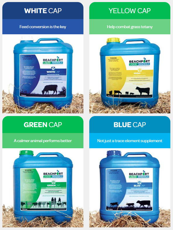 Beachport Liquid Minerals