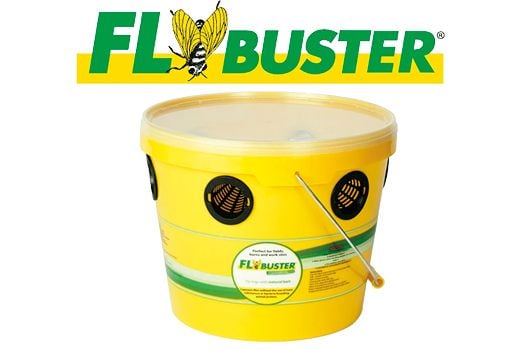 FlyBuster 250g starter pk - 1 trap & 250g bait