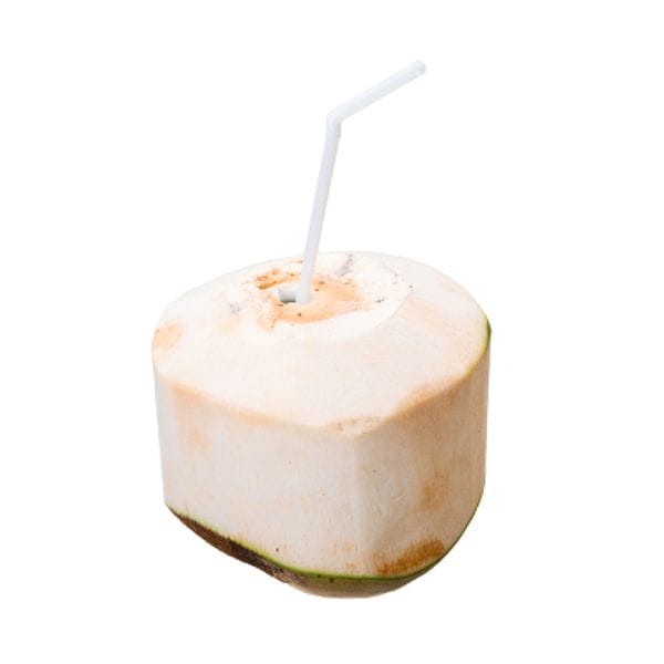 Coconut - Drinking
