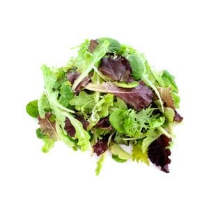 Lettuce - Mesculum