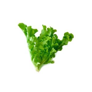 Lettuce - Mignonette