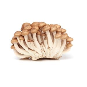 Mushroom - Shimiji