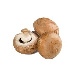 Mushroom - Chestnut