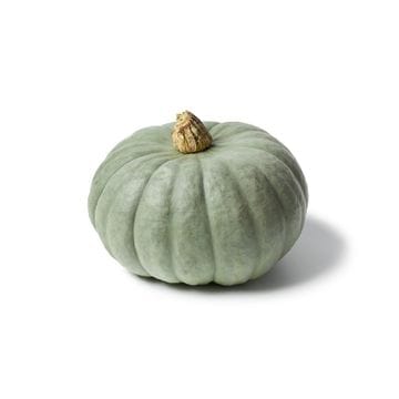 Pumpkin - Grey