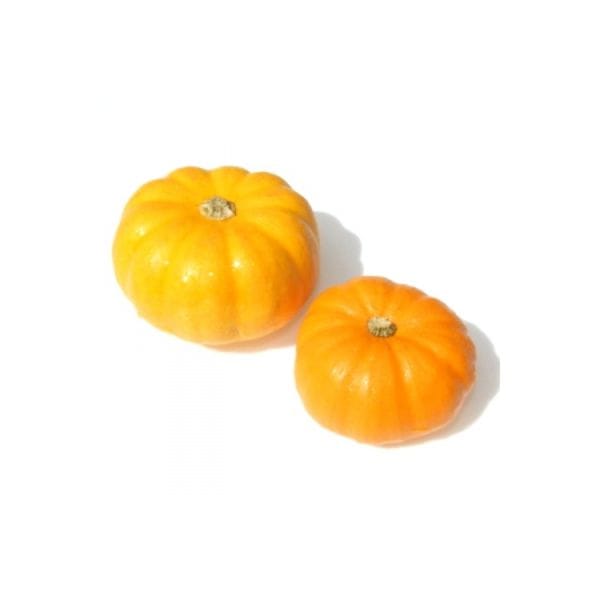 Pumpkin - Minikins