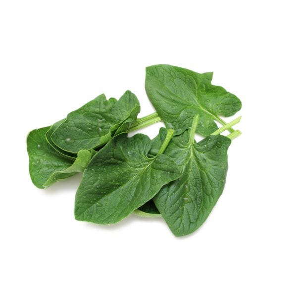 Spinach - English