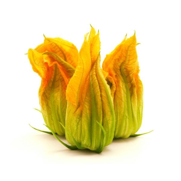 Zucchini - Flower
