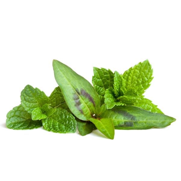 Mint Vietnamese