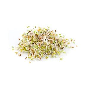 Sprouts - Alfalfa