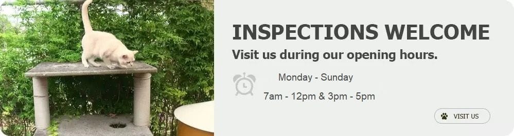Inspect Our Kennels - come see for yourself the excellent standard of care we give your pets.