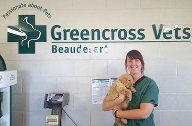 Top Walk-In Vet Clinics Near You: Convenient Care for Pets and Wildlife