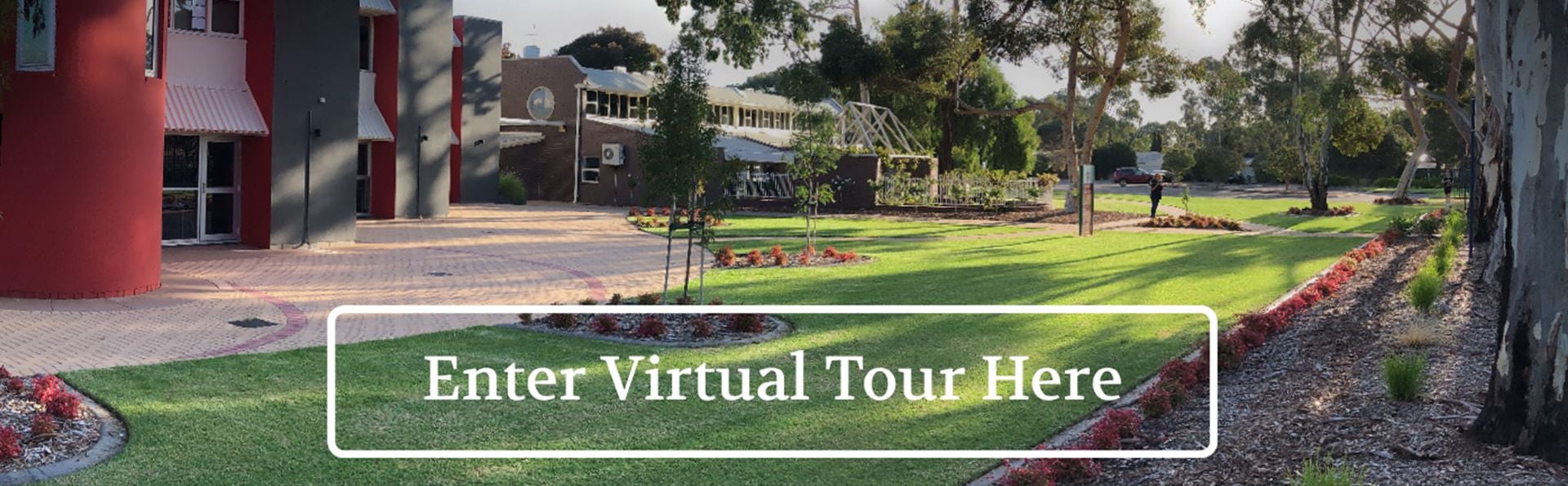 St thomas more college news