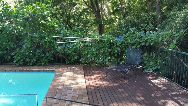 before-cottage-green-pool-fence_St-Ives
