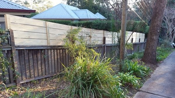 After 1 - Boundary fence was raised to 1.8m high with treated pine slats
