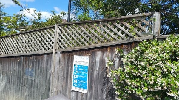 non-compliant-lattice-on-pool-boundary-fence