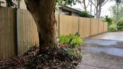 timber paling boundary fence