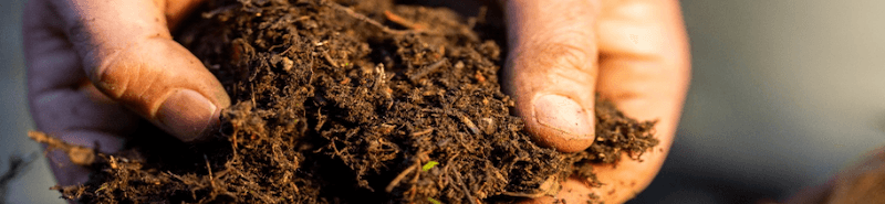 Soil and Plant Testing Services Soil and Plant Testing Services