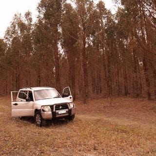 Beef Machine Tree Farm in Esperance Western Australia