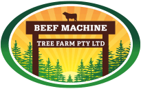 Beef Machine Tree Farm