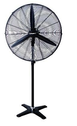 Fan - Pedestal