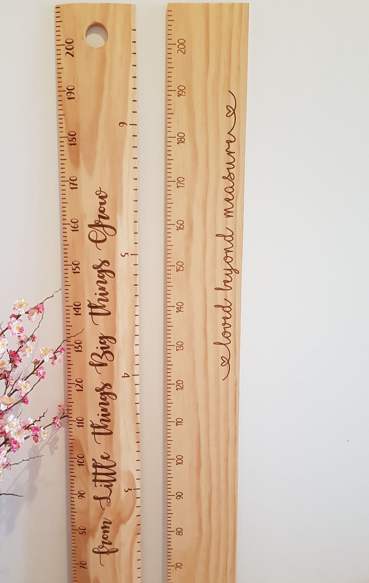 Loved Beyond Measure Height Chart